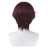 Anime Wind Breaker (2024) Hayato Suou Red Wig Cosplay Accessories Halloween Carnival Props